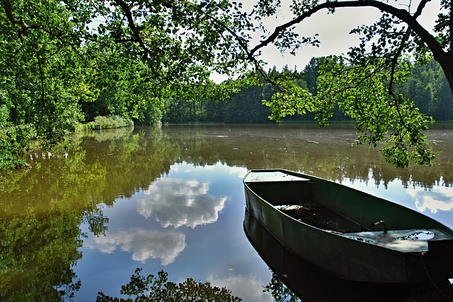 špinavý rybník