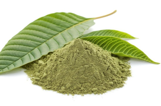 rostlina kratom